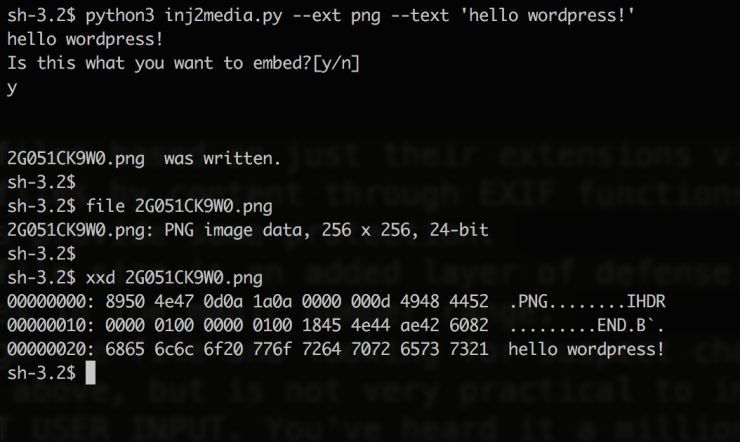 webapp_3.png