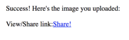 webapp_4.png